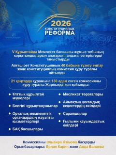 Конституционная реформа — 25