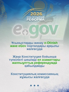 Конституционная реформа — 31