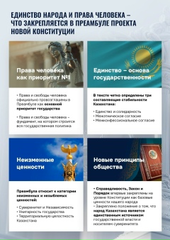 Конституционная реформа — 51